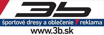 3b