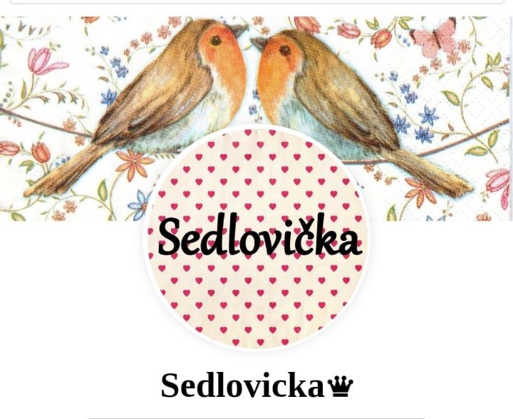 Sedlovicka 1